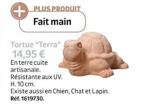 Tortue "terra"