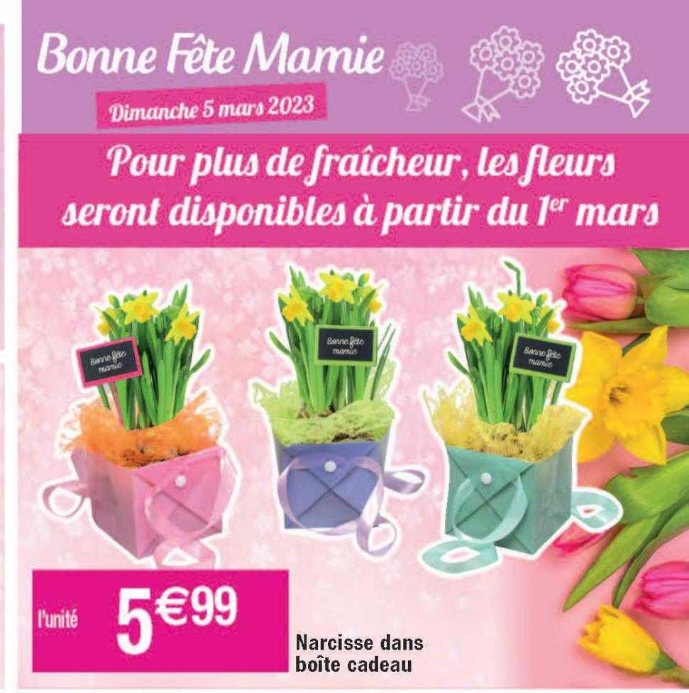 narcisse dans boîte cadeau
