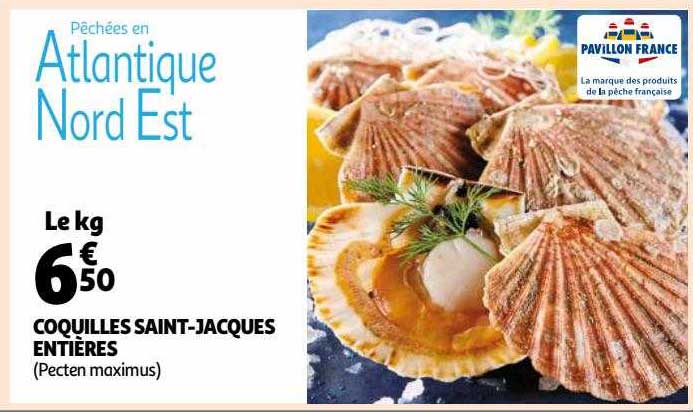 coquilles saint-jacques entières