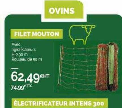 filet mouton