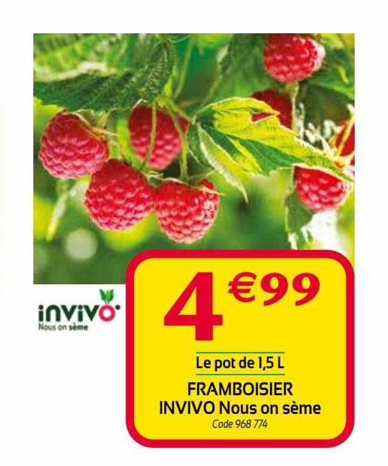 invivo framboisier nous on sème