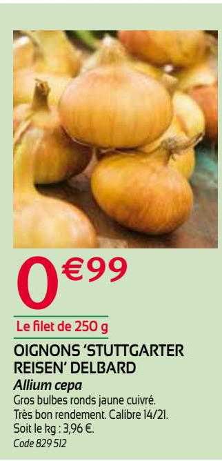 oignons stuttgarter reisen delbard