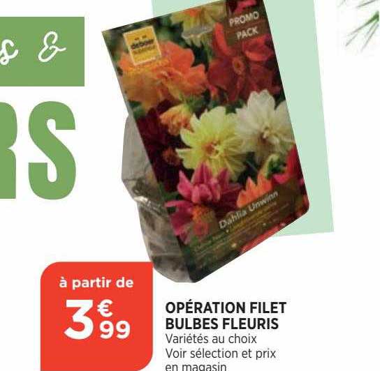 opération filet bulbes fleuris