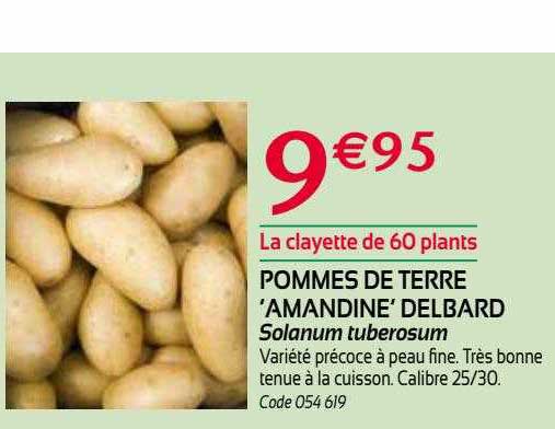 pommes de terre 'amandine' delbard