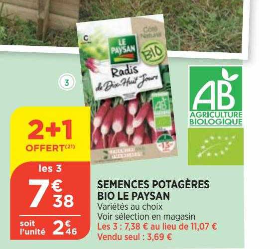 semences potagères bio le paysan