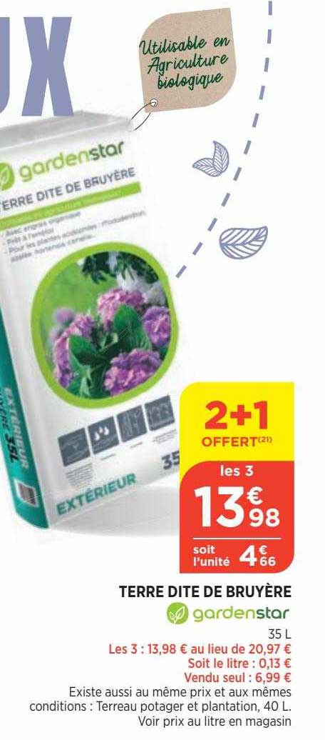 Terre Dite De Bruyère Gardenstar