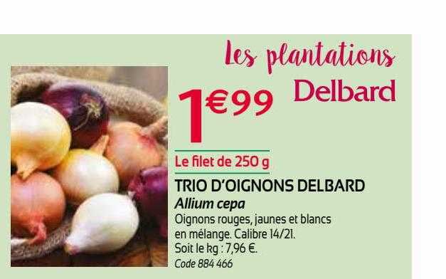 trio d'oignons delbard allium cepa