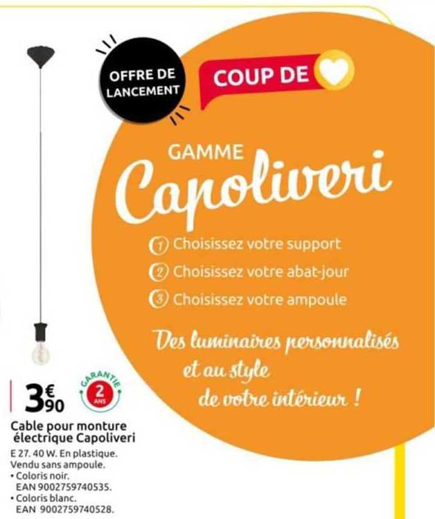 câble pour monture électrique capoliveri