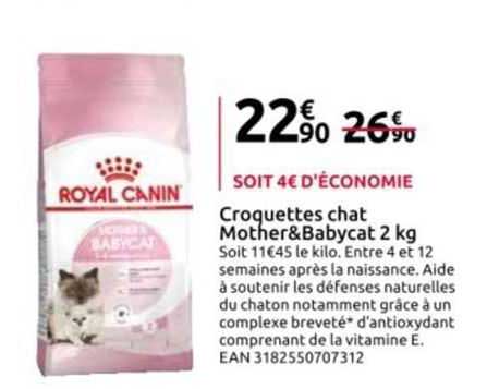 croquettes chat mother & babycat 2 kg royal canin
