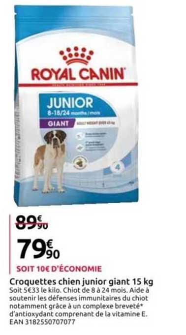 croquettes chien junior giant 15 kg royal canin