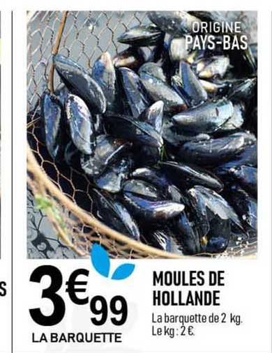 Moules De Hollande