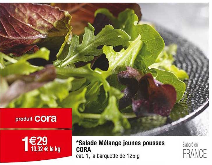 salade mélange jeunes pousses cora