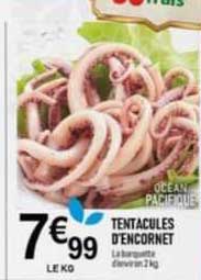 tentacules d'encornet