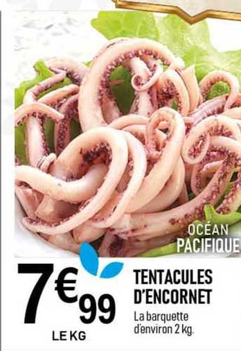 tentacules d'encornet