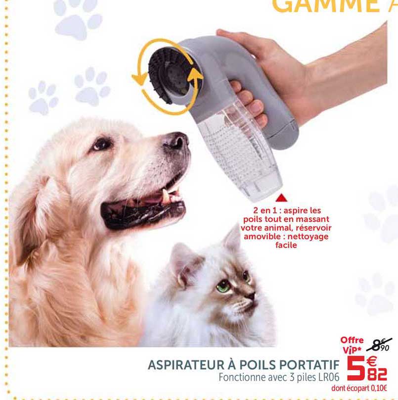 aspirateur à poils portatif