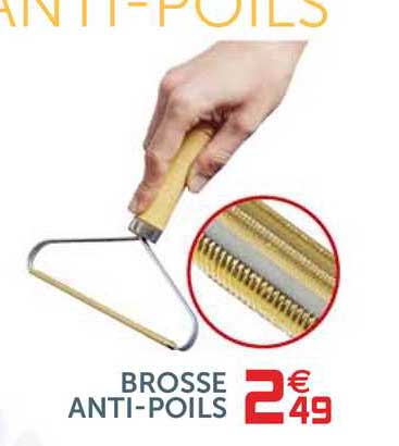 brosse anti-poils