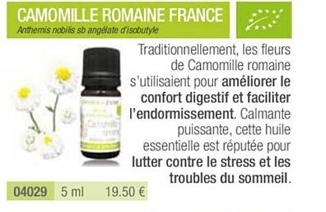 Camomille Romaine France