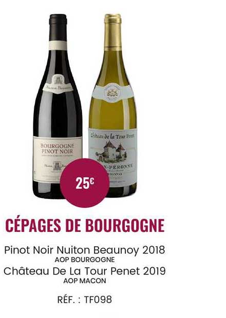 cépages de bourgogne pinot noir nuiton beaunoy 2018 aop bourgogne, château de la tour penet 2019 aop macon