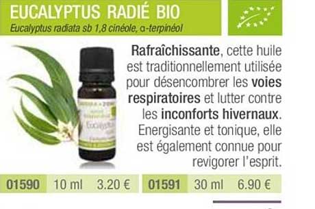 eucalyptus radié bio