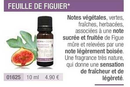 feuille de figuier