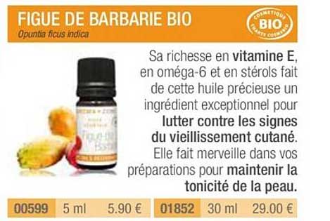 figue de barbarie bio