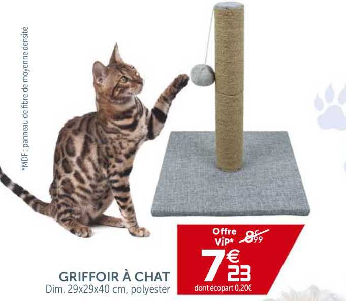 Griffoir à Chat