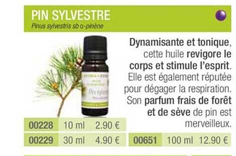 pin sylvestre