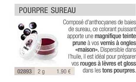 pourpre sureau