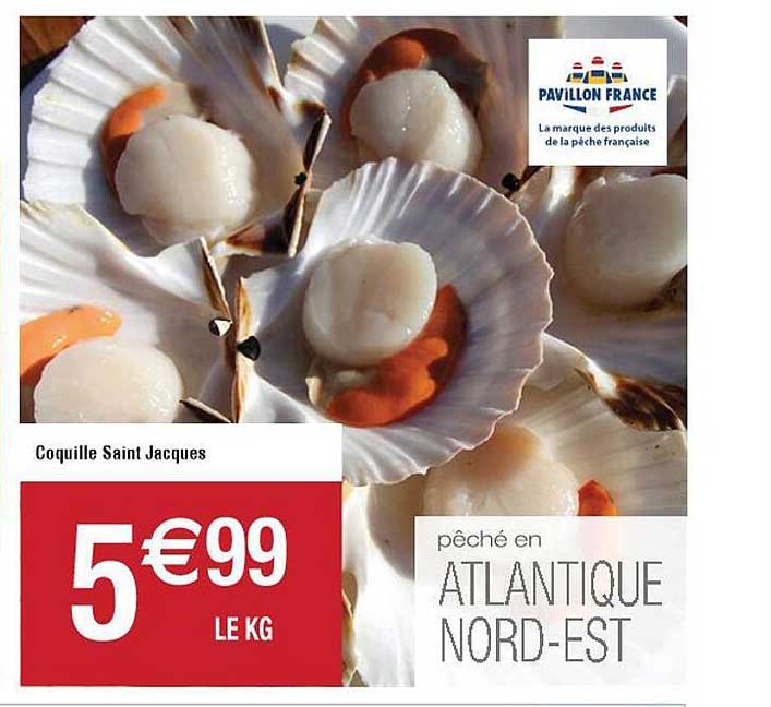 coquille saint jacques