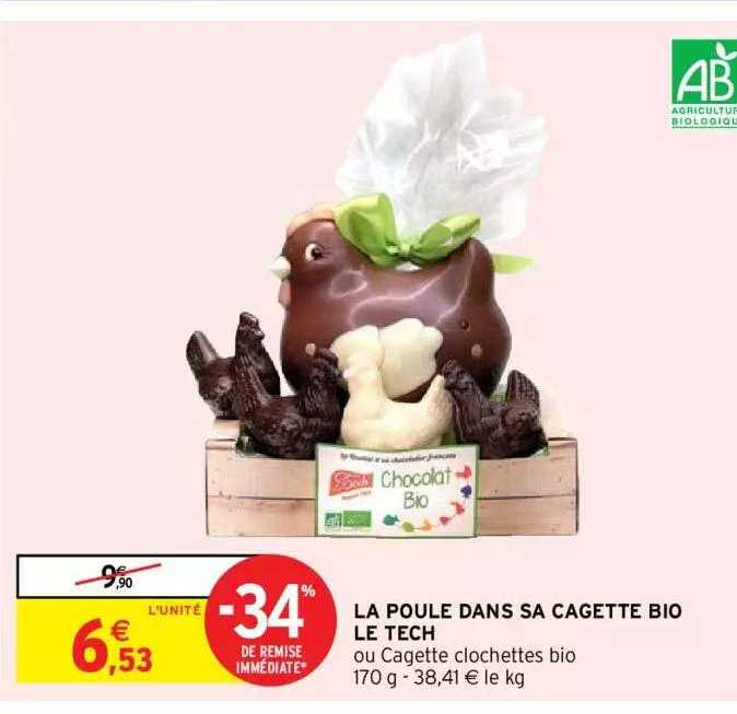 la poule dans sa cagette bio le tech