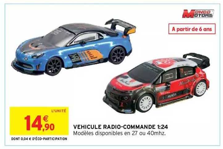 Véhicule Radio-commandé 1:24