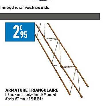 armature triangulaire