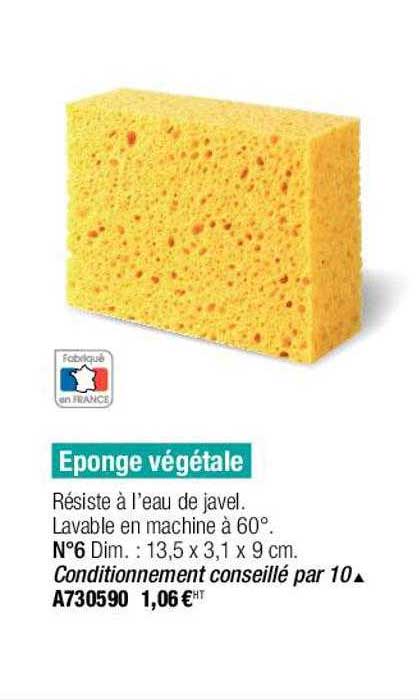 éponge Végétale