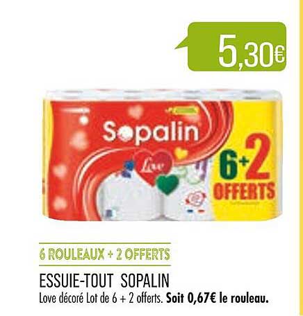 essuie-tout sopalin