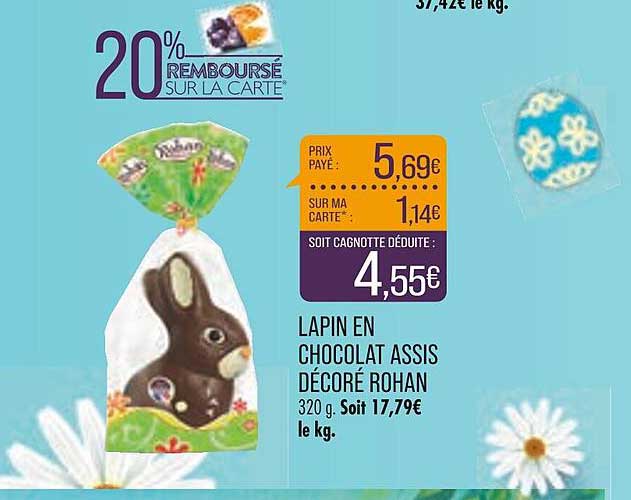 lapin en chocolat assis décoré rohan
