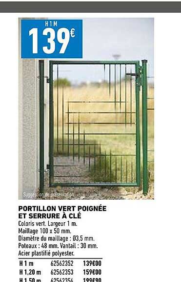 portillon vert poignée et serrure à clé