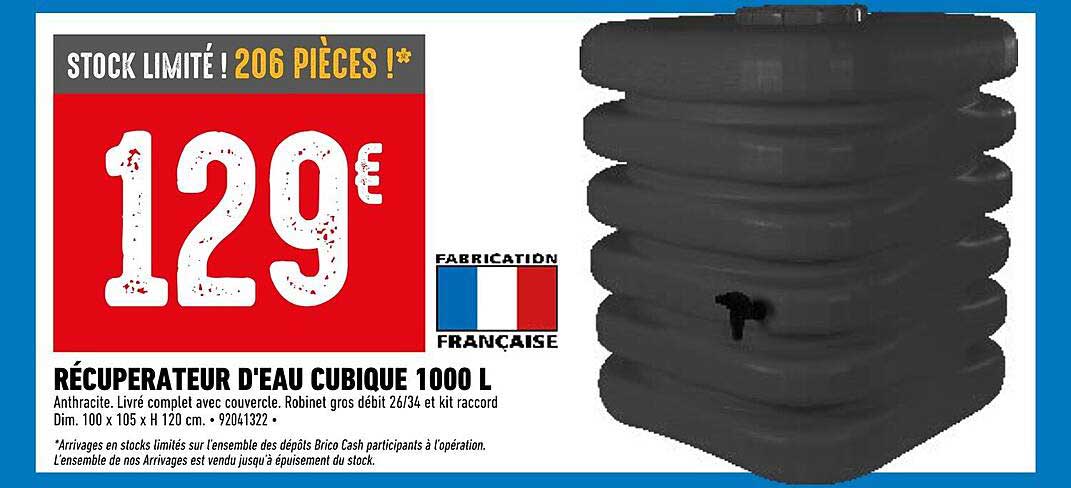 récupérateur d'eau cubique 1000l