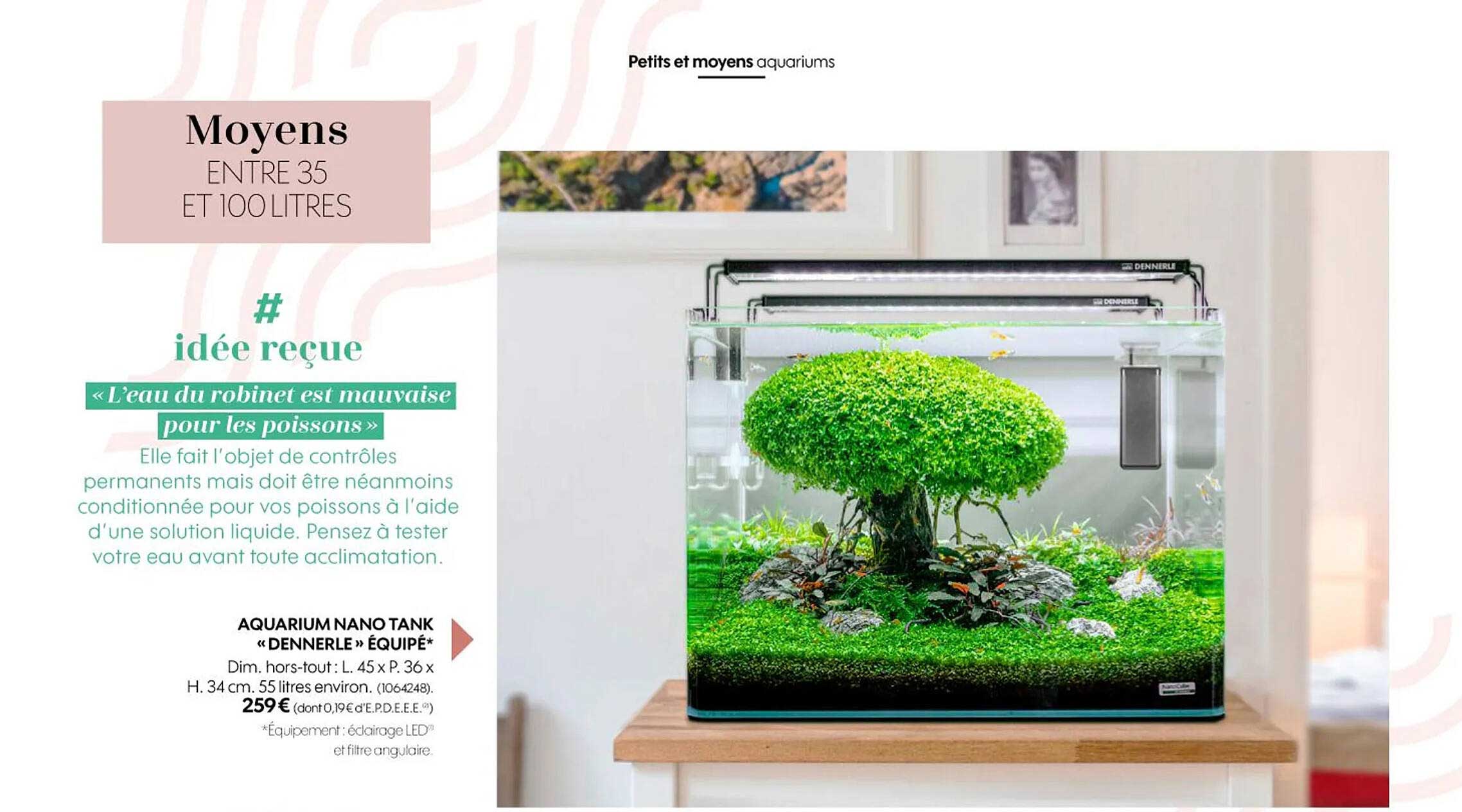 aquarium nano tank "dennerle" équipé