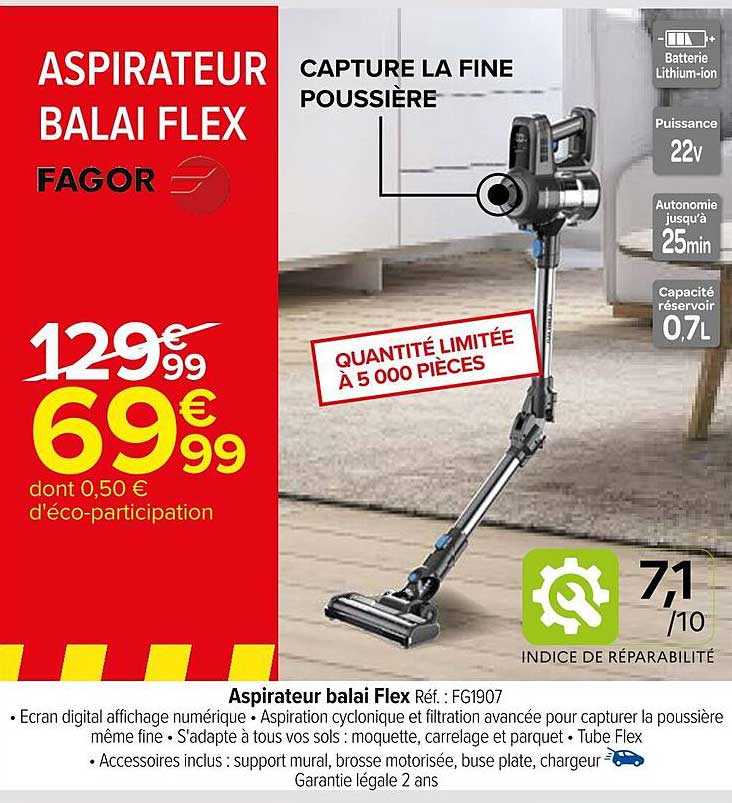 Aspirateur Balai Flex