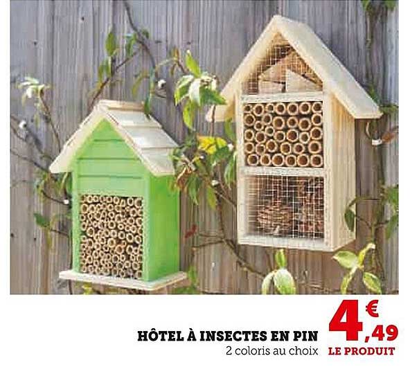 hôtel à insecte en pin