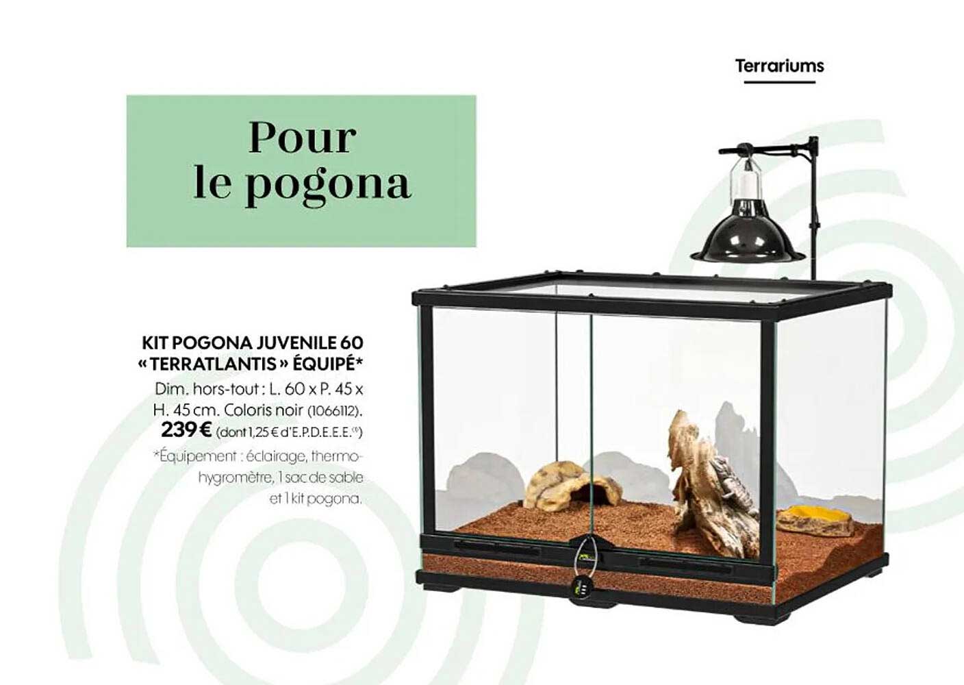 kit pogona juvenile 60 «terratlantis» équipé