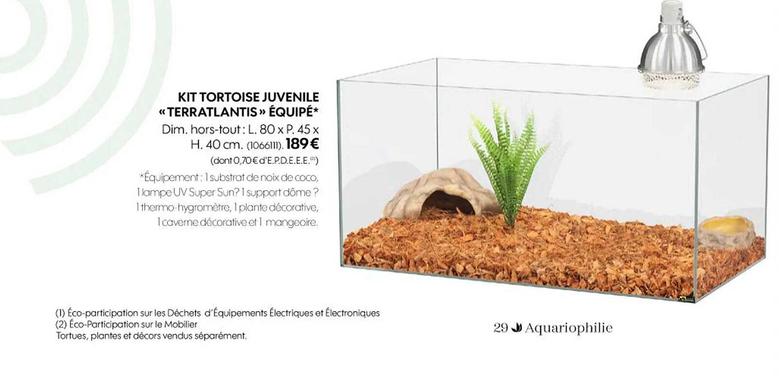 kit turtoise juvenile «terratlantis» équipé