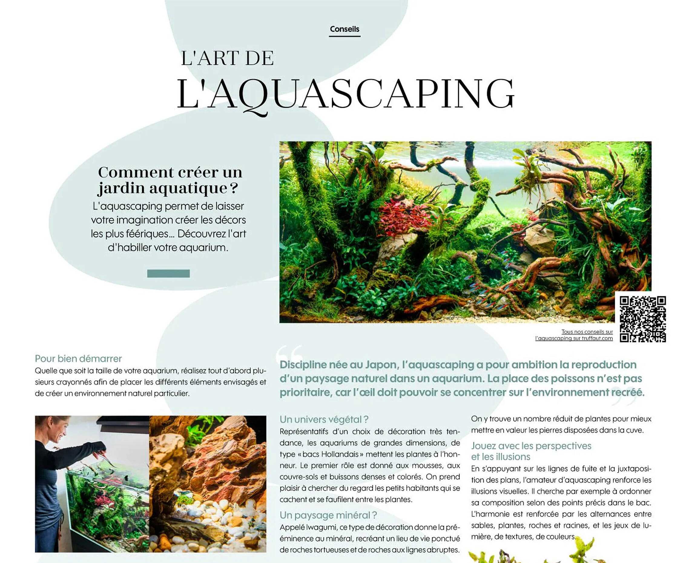 l'art de l'aquascaping