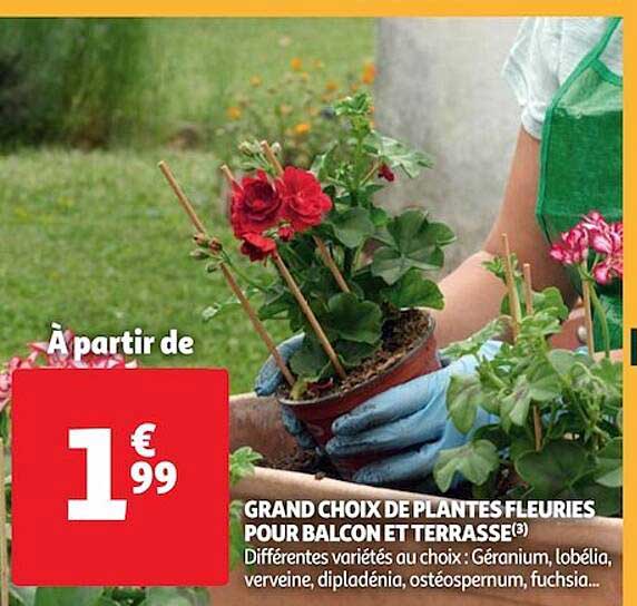 grand choix de plantes fleuries pour balcon et terrasse