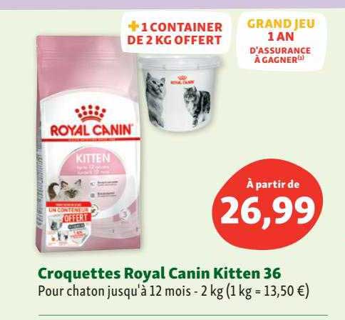 croquettes royal canin kitten 36