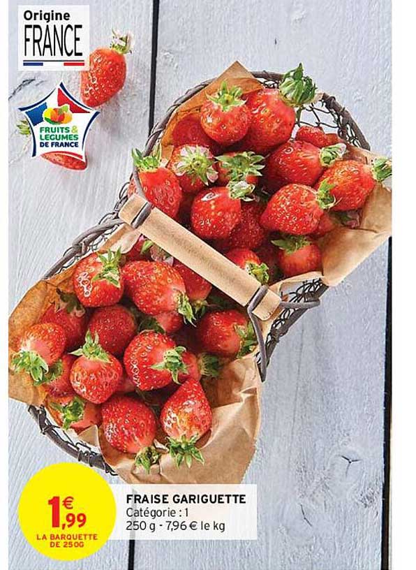 fraise gariguette