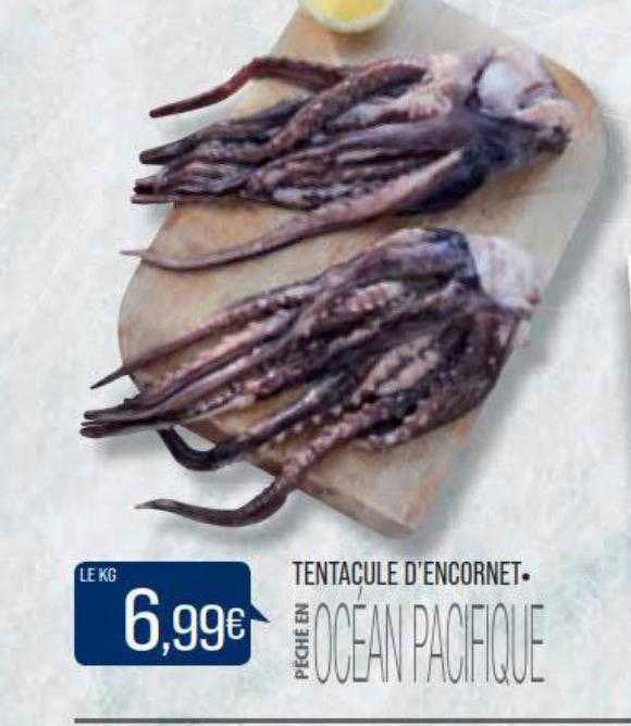 tentacule d'encornet