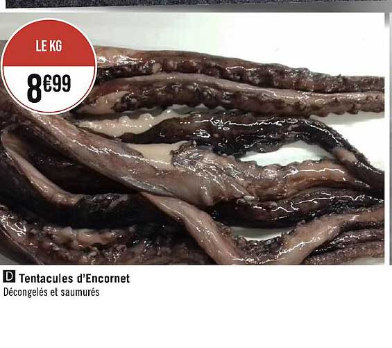 tentacules d'encornet