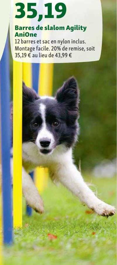 barres de slalom agility anione