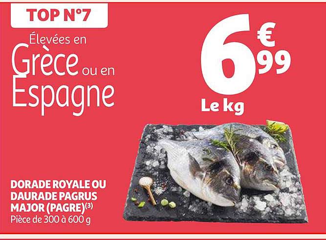 dorade royale ou daurade pagrus major (pagre)
